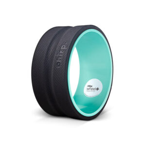 Chirp Wheel+ 10" Firm
