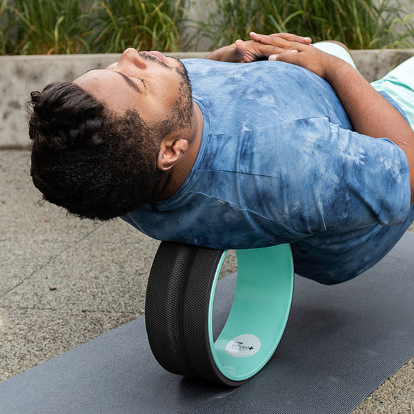 Chirp Wheel+ 12" Gentle - Image 7