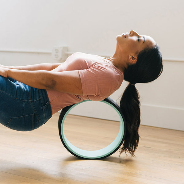 Chirp Wheel+ 12" Gentle - Image 8