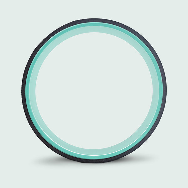 Chirp Wheel+ 12" Gentle - Image 2