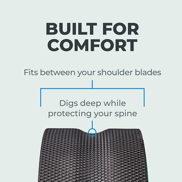 Chirp Wheel+ 12" Gentle - Image 5