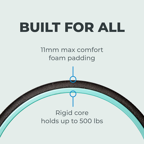 Chirp Wheel+ 12" Gentle - Image 6