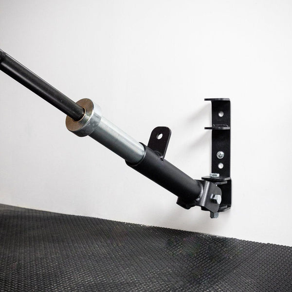 PRx Landmine/Bar Storage - Image 5